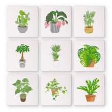 Lade das Bild in den Galerie-Viewer, Schilderen op Nummer | Planten