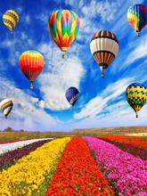 Afbeelding in Gallery-weergave laden, Luchtballonnen boven Bloemenveld