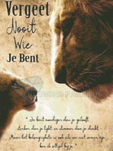 Load image into Gallery viewer, Diamond Painting - Tekst - Vergeet nooit wie je bent