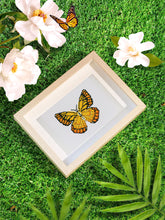 Afbeelding in Gallery-weergave laden, 12 Mini Diamond Paintings - Vlinders
