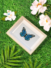 Afbeelding in Gallery-weergave laden, 12 Mini Diamond Paintings - Vlinders
