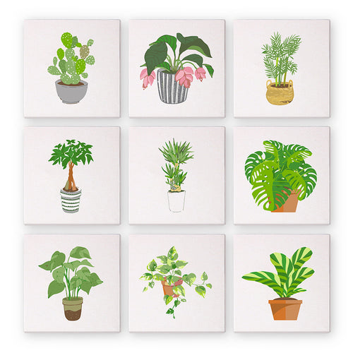 Schilderen op Nummer | Planten