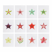 Afbeelding in Gallery-weergave laden, 12 Mini Diamond Paintings - Sterbloemen
