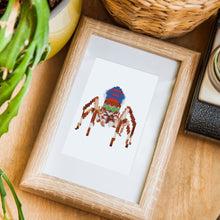 Afbeelding in Gallery-weergave laden, 6 Mini Diamond Paintings - Spinnen
