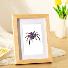Afbeelding in Gallery-weergave laden, 6 Mini Diamond Paintings - Spinnen

