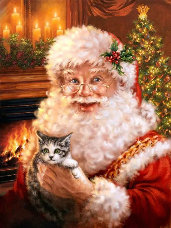 Diamond Painting - Kerstman met Kitten
