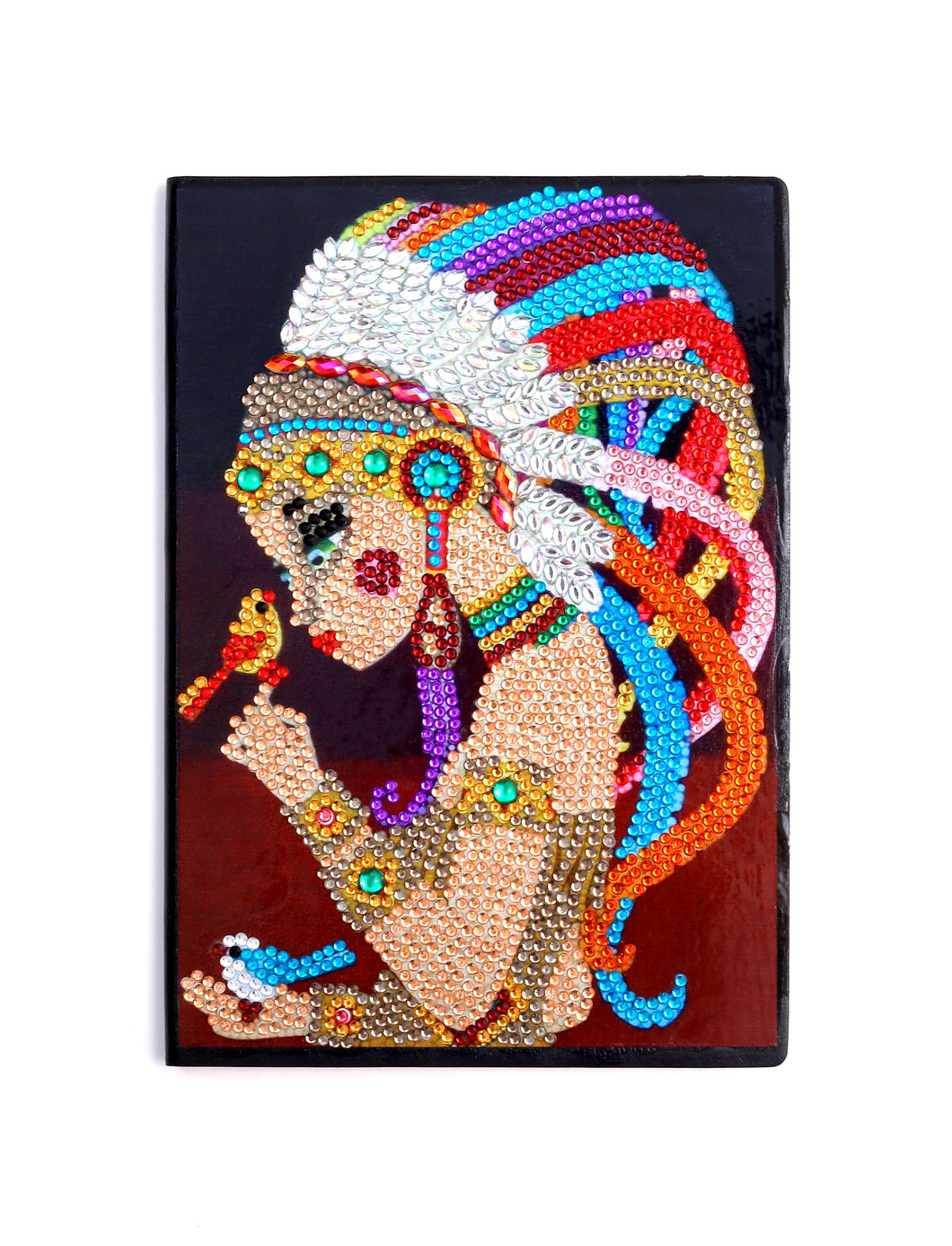 Diamond Painting Notitieboek - Indiaan met Vogels