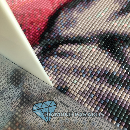 Diamond Painting - Steentjescorrector