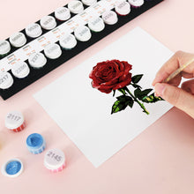Load image into Gallery viewer, Schilderen op Nummer Ansichtkaarten - Fashion
