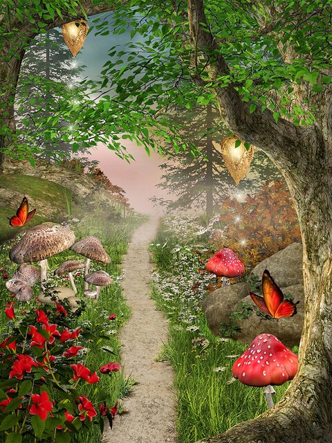 Diamond Painting - Bospad met Paddenstoelen