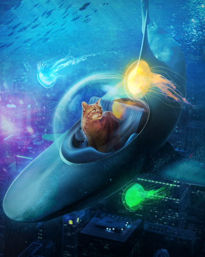 Diamond Painting - De Duikende Kat