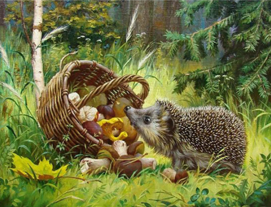 Diamond Painting - Egel met Mandje -Diamond Paradijs