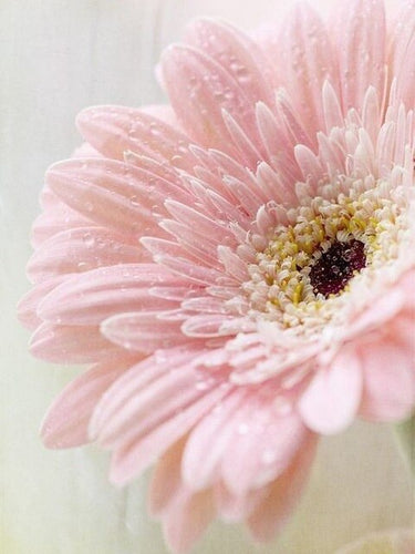 Diamond Painting - Gerbera - Diamond Paradijs