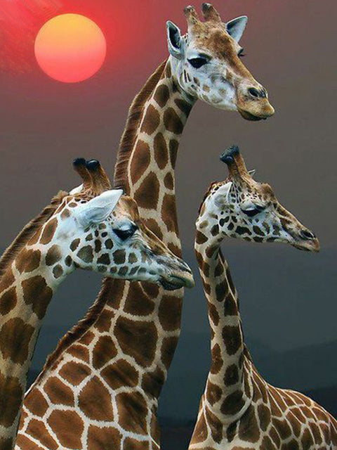 Diamond Painting - Giraffen - Diamond Paradijs