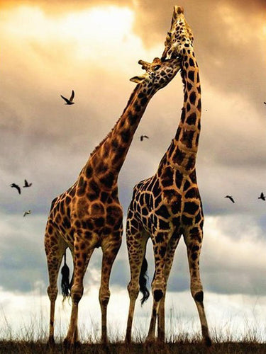 Diamond Painting - Giraffen met Vogels - Diamond Paradijs