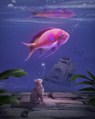 Diamond Painting - Grote Vis - Kleine Kat - Diamond Paradijs