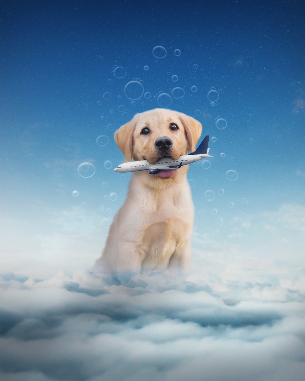 Diamond Painting - Hond vangt het Vliegtuig