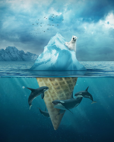 Diamond Painting - Ijsje van de Ijsberg