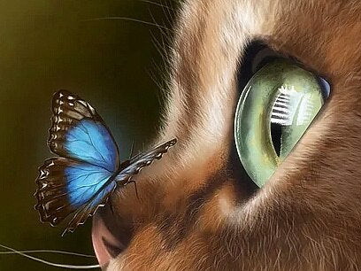 Diamond Painting - Kat met Blauwe Vlinder - Diamond Paradijs