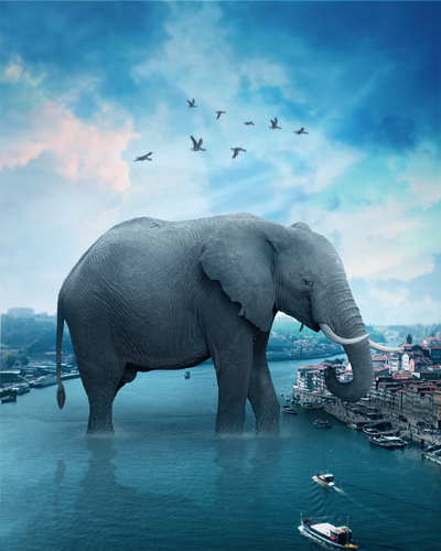 Diamond Painting - Olifant in de Rivier - Diamond Paradijs