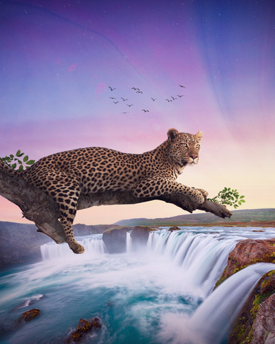 Diamond Painting - Panter boven de Waterval