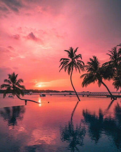 Diamond Painting - Roze Lucht Palmbomen - Diamond Paradijs