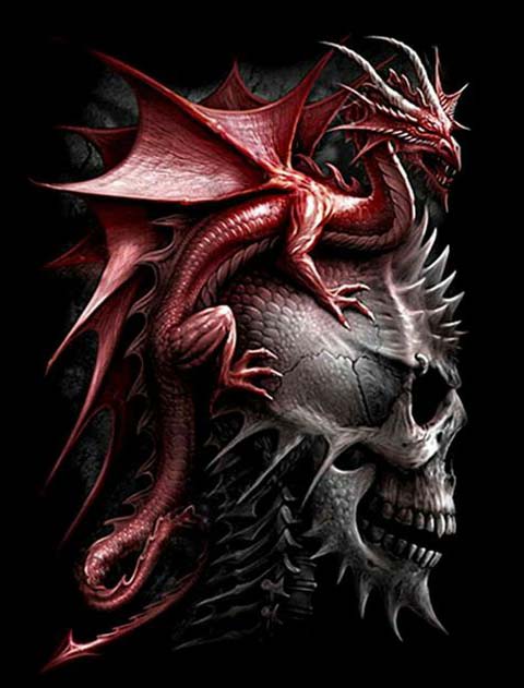 Diamond Painting - Skull met Kleine Draak