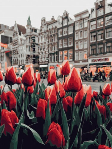 Diamond Painting - Tulpen in Amsterdam