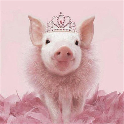 Diamond Painting - Varkentje met Kroontje - Diamond Paradijs