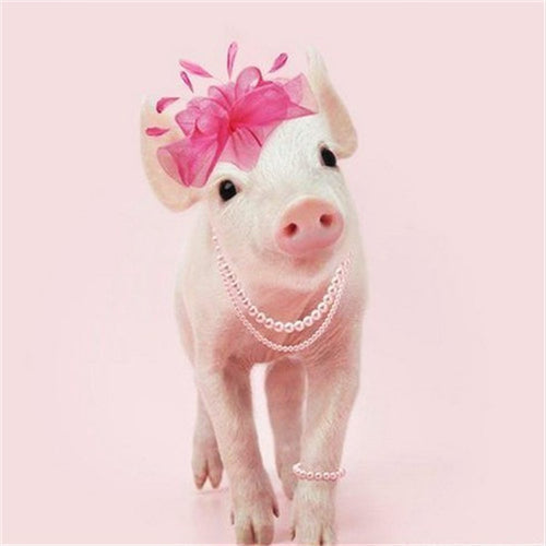 Diamond Painting - Varkentje met Strik - Diamond Paradijs