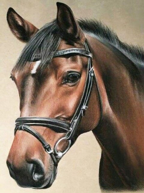 Diamond Painting - Bruine Paard