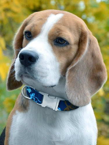 Diamond Painting - Beagle