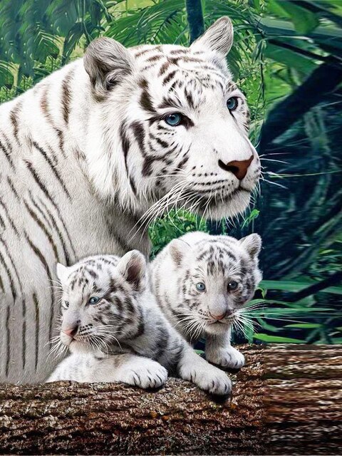 Diamond Painting - Witte tijger met welpjes