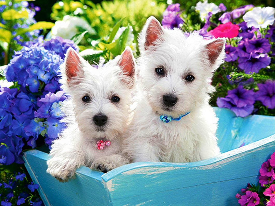 Diamond Painting - West Highland White Terrier Puppy's