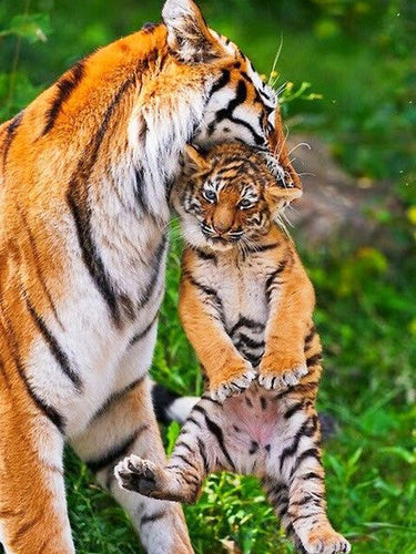 Diamond painting - tijger met welp