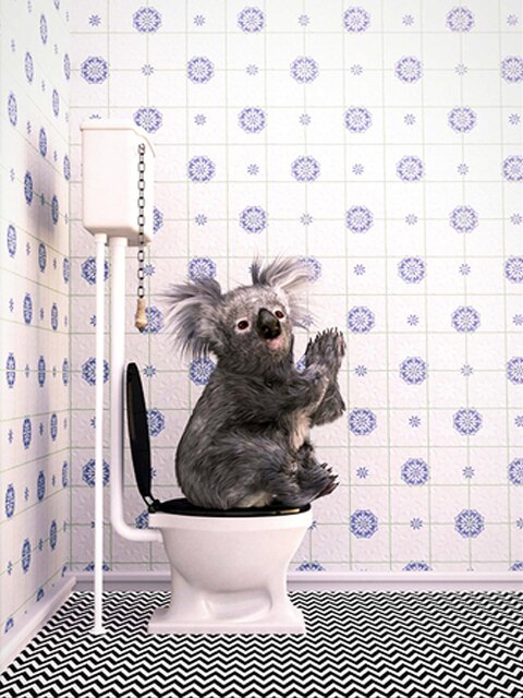 Diamond Painting - Koala op het Toilet