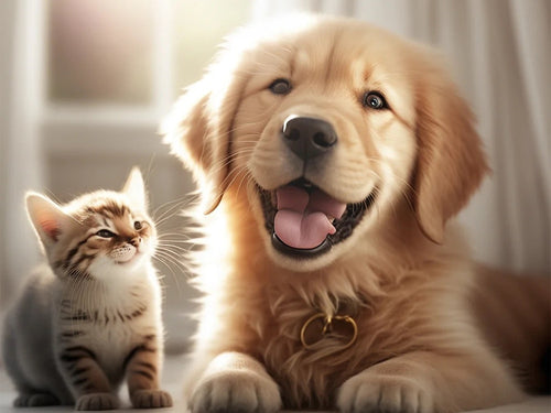 Diamond Painting - Golden Retriever Puppy met Kleine Kitten