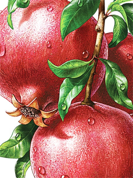 Diamond Painting - Granaatappels