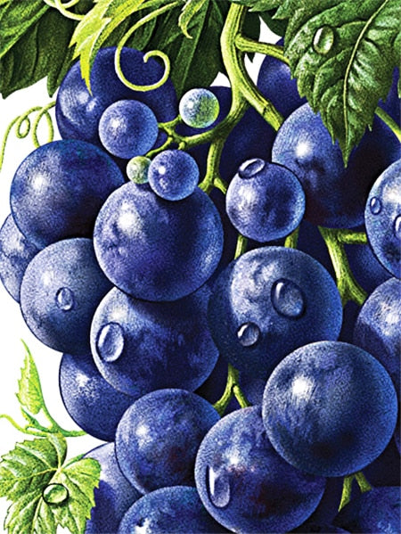Diamond Painting - Blauwe Druiven