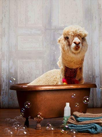 Diamond Painting - Alpaca in Bad