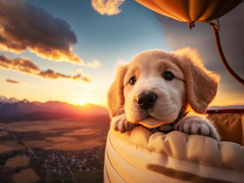 Diamond Painting - Golden Retriever in een Luchtballon