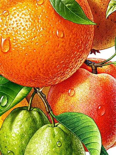 Diamond Painting - Sinaasappel en Perzik