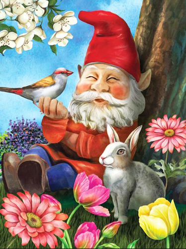 Diamond Painting - Kabouter met Vogel
