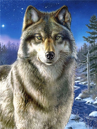 Wolf in de Nacht - Diamond Paradijs