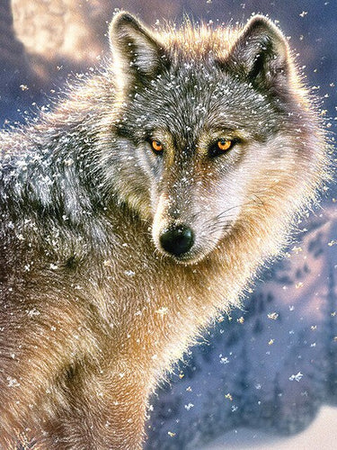 Wolf in de Sneeuw - Diamond Paradijs