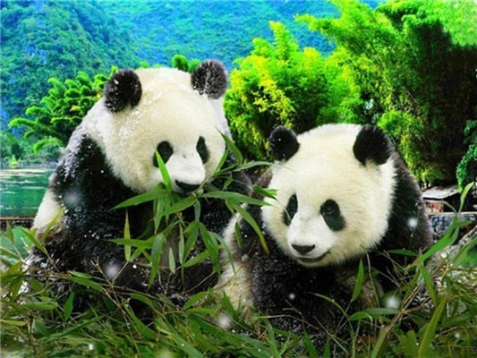 Diamond Painting - Panda's in de Natuur - Diamond Paradijs