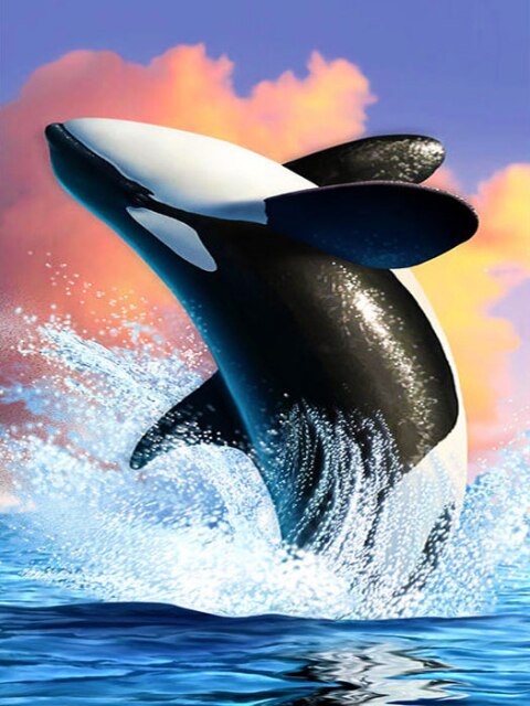 Diamond Painting - Springende Orka - Diamond Paradijs