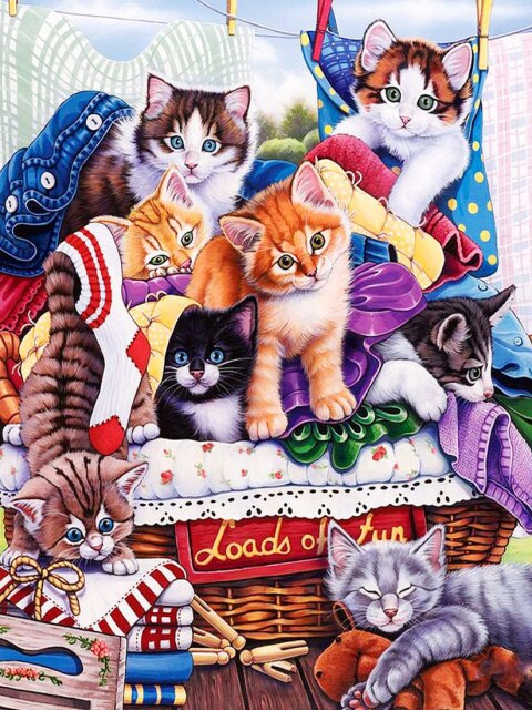 Diamond Painting - Katten in de Wasmand - Diamond Paradijs