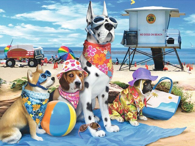 Diamond Painting - Honden op het Strand - Diamond Paradijs