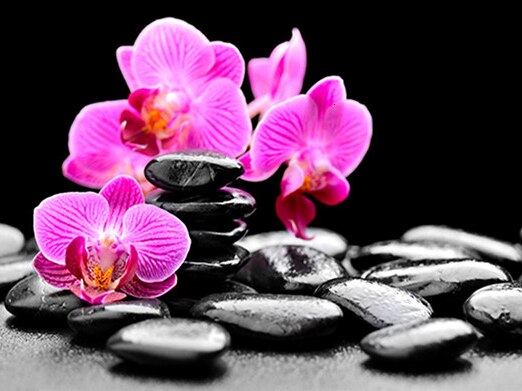 Diamond Painting - Roze Orchideeën - Diamond Paradijs